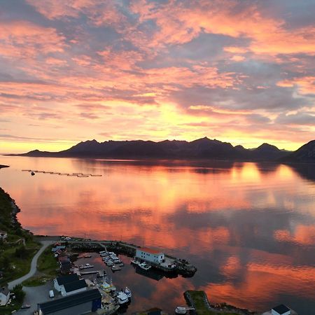 Senja Living Aparthotel Stonglandseidet Exterior photo