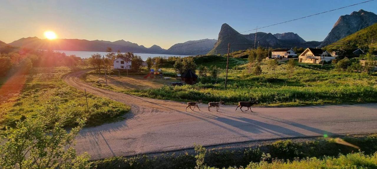Senja Living Aparthotel Stonglandseidet Exterior photo