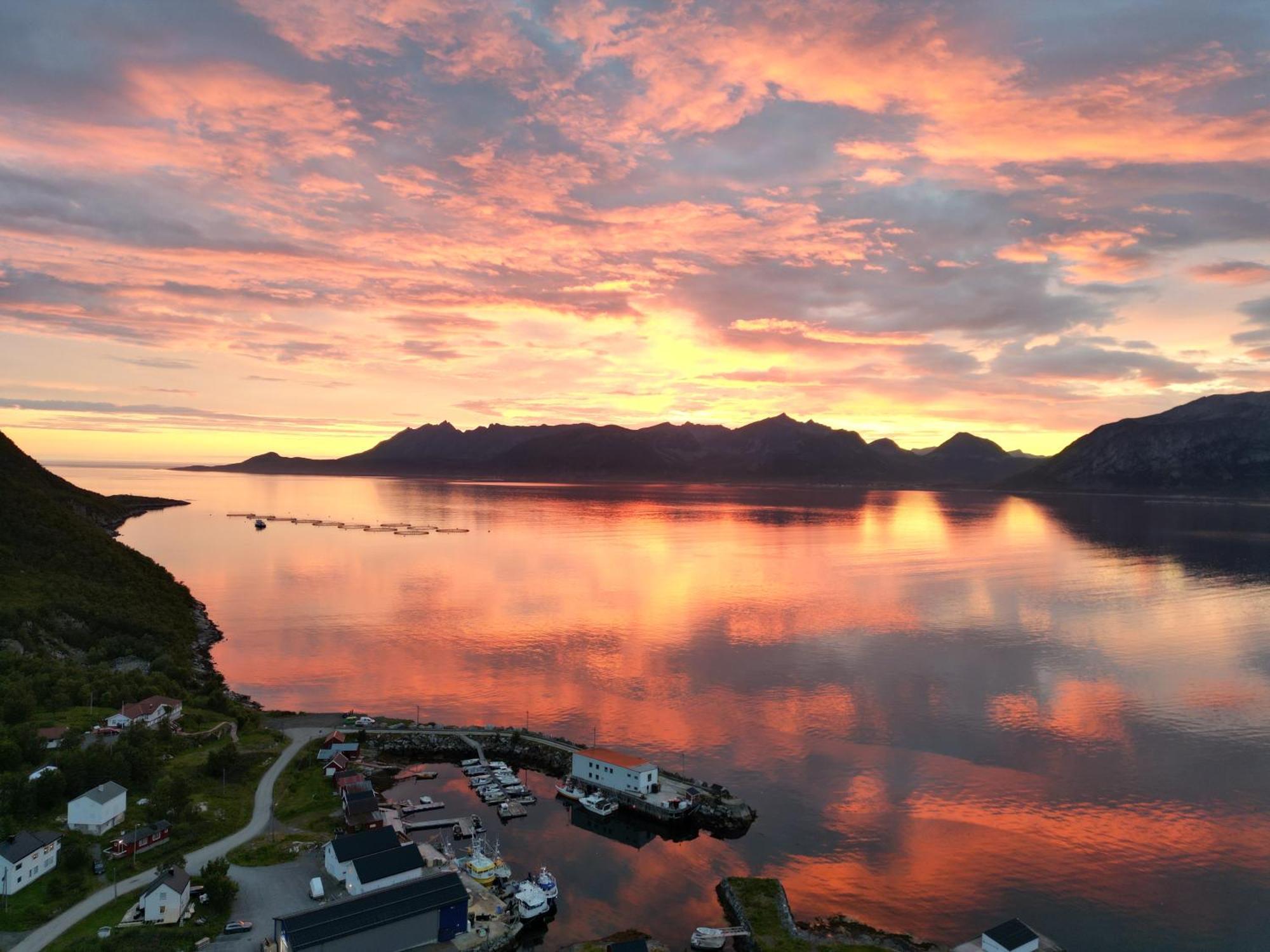Senja Living Aparthotel Stonglandseidet Exterior photo